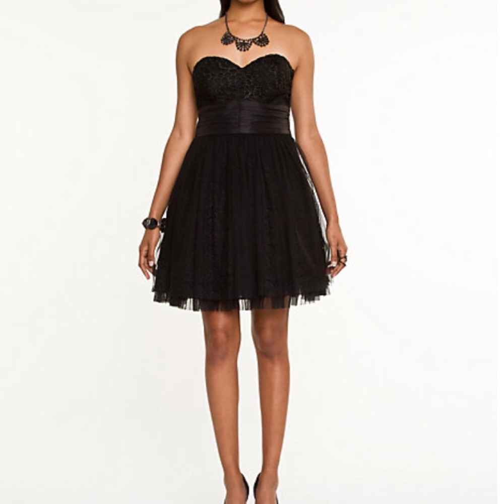 Lace & mesh fit & flare dress